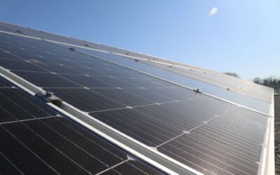 ¿Qué son los Paneles Solares y cómo funcionan?