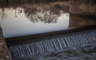 ¿Cuál es la energía renovable más utilizada en México y por qué?
