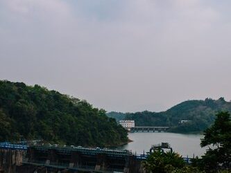 ¿Cuál es la energía renovable más utilizada en el mundo y por qué?